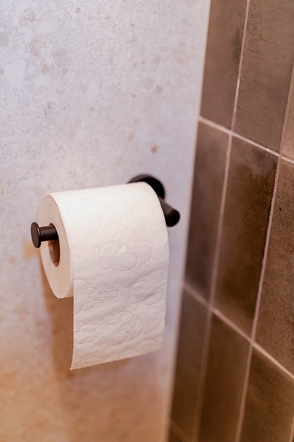 Modern toilet Caroline