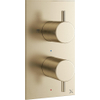 Crosswater MPRO Douchekraan - inbouw - verticaal - geborsteld messing (goud) SW209254