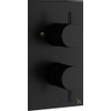 Crosswater MPRO inbouw thermostatisch douchekraan verticaal 2 weg met greeps in mat zwart SW209255 Crosswater MPRO inbouw thermostatisch douchekraan verticaal 2 weg met greeps in mat zwart SW209255