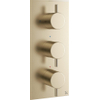 Robinet de douche thermostatique encastré Crosswater MPRO vertical 2 robinets d'arrêt en laiton brossé (or) SW209258