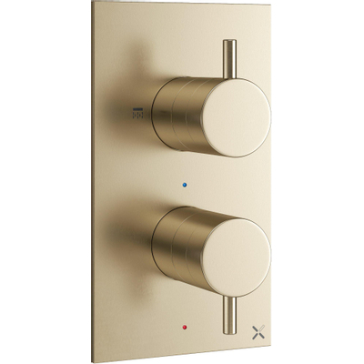 Crosswater MPRO Douchekraan - inbouw - verticaal - geborsteld messing (goud)
