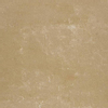 Mosa terra maestricht carreau de sol et de mur 44,6X44,6cm carré rectifié résistant au gel caramel mat SW363375