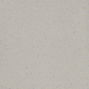 Ceralto Gavira Raw Carreau de sol - 14.6x14.6cm - 7.0mm - Gris SW393626