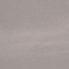 Ceralto Rovino Slate Vloertegel - 59.7x59.7cm - 12.0mm - gerectificeerd - Stone grey SW393846