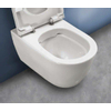 Royal Plaza Primo WC suspendu - 35x54cm - sans bride - avec abattant softclose - déclipsable - cendre SW1122529