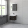 Bruynzeel Bando badmeubelset 60x55x45cm met spiegelkast aluminium greeplijst gladstone SW107686 Bruynzeel Bando badmeubelset 60x55x45cm met spiegelkast aluminium greeplijst gladstone SW107686