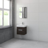 Bruynzeel Mino badmeubelset 50x56x38cm met spiegel verlichting gladstone SW107924 Bruynzeel Mino badmeubelset 50x56x38cm met spiegel verlichting gladstone SW107924