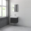 Bruynzeel Roma badmeubelset 60x60.5x46cm met spiegel verlichting grafiet SW108025 Bruynzeel Roma badmeubelset 60x60.5x46cm met spiegel verlichting grafiet SW108025