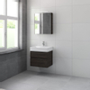 Bruynzeel Roma badmeubelset 60x60.5x46cm met spiegelkast glans wit SW107509 Bruynzeel Roma badmeubelset 60x60.5x46cm met spiegelkast glans wit SW107509