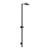 Axor Starck Nature douche extérieure – douche de tête Ø 24 cm – mitigeur sans douchette – hauteur 215 cm – noir mat SW802956