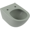 Villeroy & Boch Antao wandcloset - diepspoel - zonder spoelrand - met TwistFlush CeramicPlus - Morning Green (mat groen) SW917881