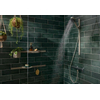 Hansgrohe Doucheslang SW918186