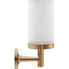 Duravit Starck T Tandenborstelhouder - matglas - geborsteld brons SW961905