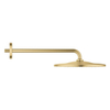 GROHE Rainshower Mono 310 Hoofddouche - 31cm - 1 straalsoort - wandarm 42.2cm - geborsteld cool sunrise SW1077272 GROHE Rainshower Mono 310 Hoofddouche - 31cm - 1 straalsoort - wandarm 42.2cm - geborsteld cool sunrise SW1077272