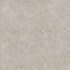 Ceralto Gravito Raw Vloertegel - 60x60cm - 9.0mm - gerectificeerd - Pearl SW1129801