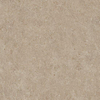 Ceralto Gravito Raw Vloertegel - 60x60cm - 9.0mm - gerectificeerd - Clay SW1129813