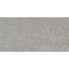 Ceralto Gravito Raw Carrelage de sol - 60x120cm - 9.0mm - rectifié - gris SW1245130