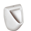 Ideal Standard Eurovit urinoir avec arrivée d'eau par le dessus blanc 0180875