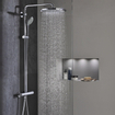 GROHE Euphoria handdouche 1/2 Massage chroom 0438611