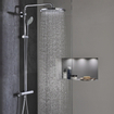GROHE Euphoria pommeau de douche 1/2 Massage chrome 0438611