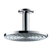 Hansgrohe Raindance pomme de douche 18cm avec bras de douche plafond chrome 0444138