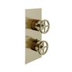 Royal Plaza Olmo afdekset 2 functies douchethermostaat industriele greep bronze SW374074