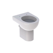 Geberit 300 Basic WC sur pied à fond plat 35.5x47.5cm +2cm EH et fixation cachée Blanc SW417440