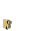 Hansgrohe porter S support mural polished gold optic SW528808