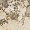 Ceralto Venara Polished Carreau de sol - 120x120cm - 9.0mm - rectifié - Desert soul SW1174864
