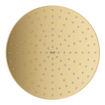 GROHE Rainshower Mono 310 Hoofddouche - 31cm - 1 straalsoort - wandarm 42.2cm - geborsteld cool sunrise SW1077272
