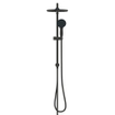 Grohe Tempesta system 250 Douche pluie 73.6cm - pommeau 25cm - rond - douchette 3 jets - avec inverseur - Noir mat SW1077232