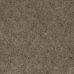 Ceralto Gravito Raw Vloertegel - 60x60cm - 9.0mm - gerectificeerd - Tobacco SW1129809