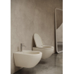 Royal Plaza Belbo Abattant WC - slimseat - quickrelease - softclose - tabac SW1075543