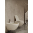 Royal Plaza Belbo WC suspendu - 55cm - cycloneflush - sans bride - avec abattant - Anthracite SW1182460