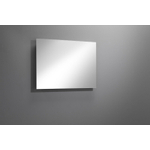 Royal Plaza Merlot spiegel 30x80cm zonder verlichting rechthoek glas Zilver GA25318