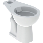 Geberit Bastia cuvette de WC en duobloc - chasse d'eau profonde - sans bride sans réservoir - 35.5x62.5x40cm - blanc SW878639