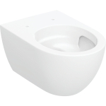 Geberit Acanto WC suspendu - à fond creux - forme fermée - Turboflush - Blanc SW878548