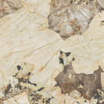 Ceralto Venara Polished Vloertegel - 120x120cm - 9.0mm - gerectificeerd - Desert soul SW1174864
