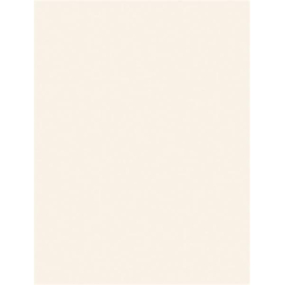 Mosa Hollndplus carreau de mur 24,7x32,7cm 8,3mm blanc brillant