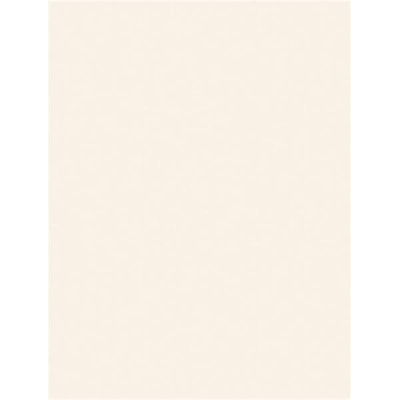 Mosa Hollndplus carreau de mur 24,7x32,7cm 8,3mm blanc brillant