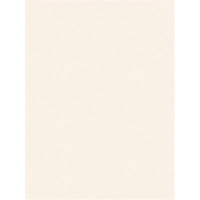 Ceralto Merano Slate Carrelage mural 15x20cm 6.3mm biscuit blanc Blanc