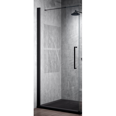 Novellini Young 2.0 YOUNG 2.0 porte pr/paroi latérale 89x200cmCLAIR/NOIR Y2G891H noir mat