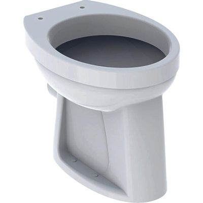 Geberit 300 Basic cuvette WC-95 à chasse plate 35.5x47cm PK blanc