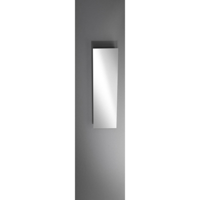 Royal Plaza Merlot spiegel 30x80cm zonder verlichting rechthoek glas Zilver