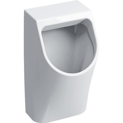 Geberit 300 urinoir 90 32,5x30cm avec arrivée arrière blanc