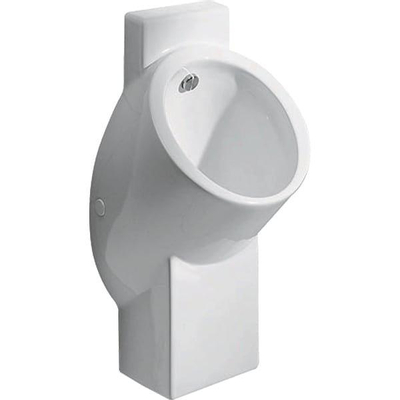 Geberit 300 urinoir centaurus hybride 37,5x32x5 inclusief KeraTect wit