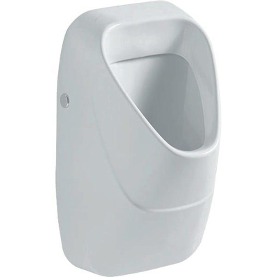 Geberit 300 Urinals 300 urinoir - met keramisch rooster - met achterinlaat - 34x34cm - wit