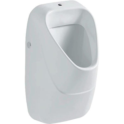 Geberit 300 Urinals 300 urinoir - met keramisch rooster en boveninlaat - 34x34cm - wit