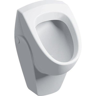 Geberit 300 Urinals 300 urinoir - 40 - met achterinlaat - 36x37cm - wit