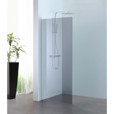 Royal Plaza Parri Douche à l'italienne 100x200cm avec profilé argent et verre gris Clean Coating